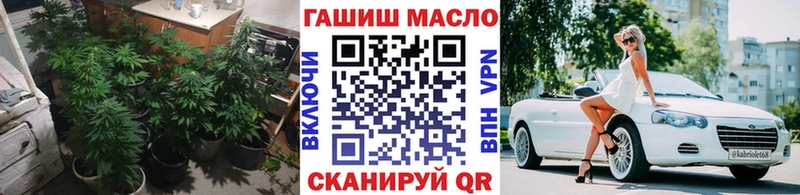 MEGA вход  Барабинск  ТГК Wax 