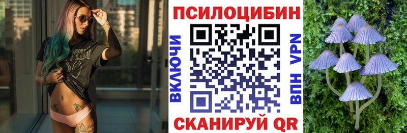 Псилоцибиновые грибы Cubensis  Барабинск 
